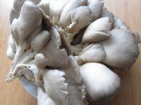 Wash the oyster mushrooms, trim according to need,...