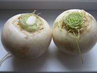 Trim the daikon and grate through a coarse grinder...