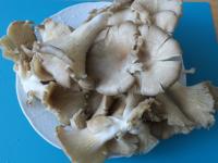 Wash the oyster mushroom, cleanse it and cut into...