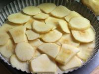 Place thin slices of the chopped apples over the...