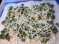 Grate other cheese and sprinkle over the broccoli....