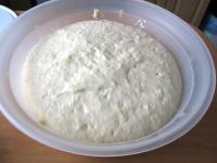 Knead the dough and let it rise, covered at the...