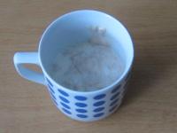 Put a little sugar and flour into a lukewarm milk,...