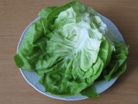 Wash lettuce leaves and chop them....