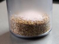 Mix the cooled roasted seed with salt....