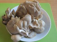 Wash the mushroom and chop finely. Clean and wash...