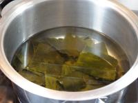 Place the pot with algae and water on the cooker,...