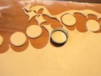 Cut rings with a diameter of about 3 cm....